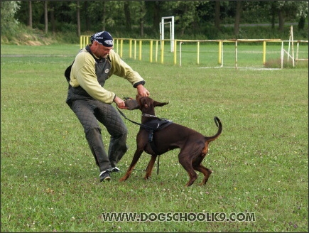 Training camp - Lukova 2007